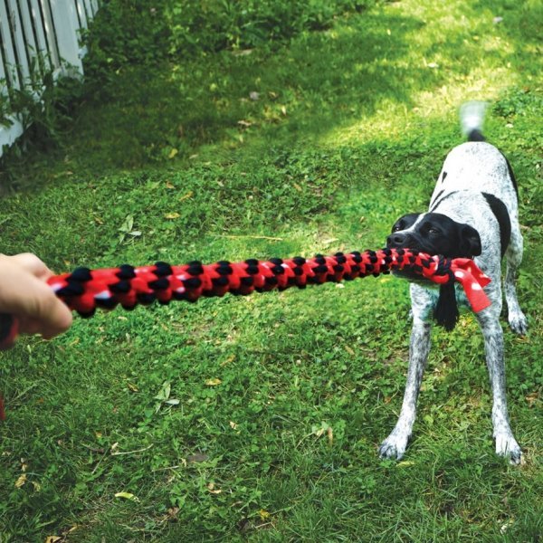 Variation #2680 of Kong Signature Mega Rope