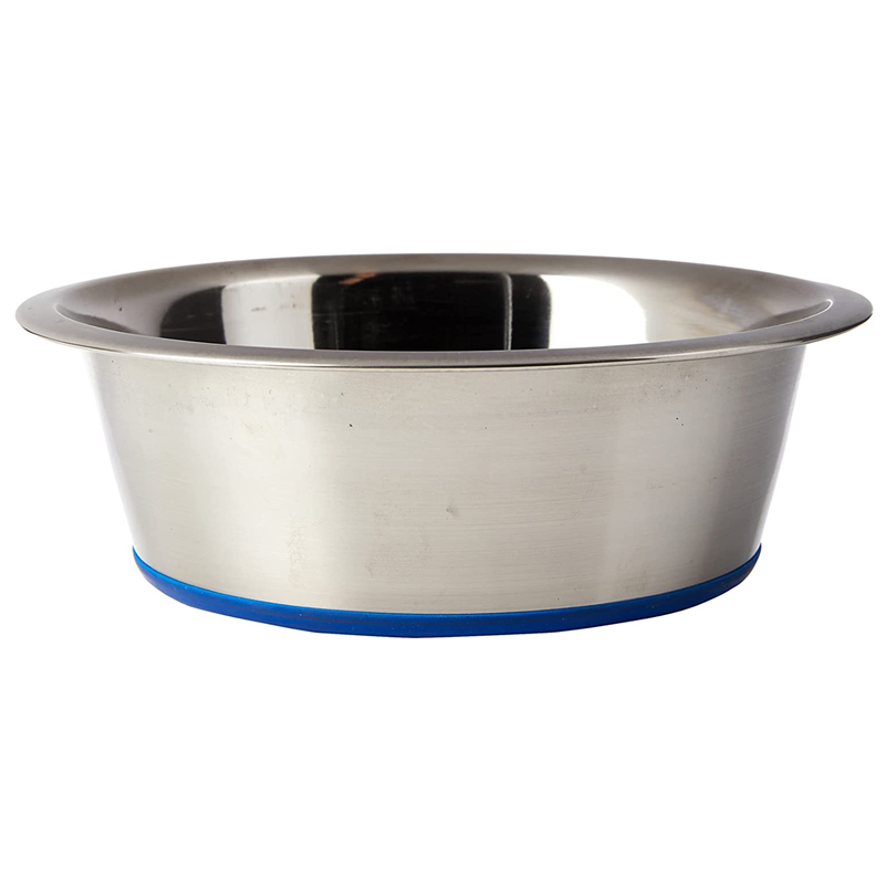Stainless Steel Dog Bowl Blue Base