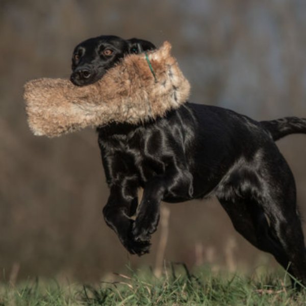 Rabbit Skin Dummy