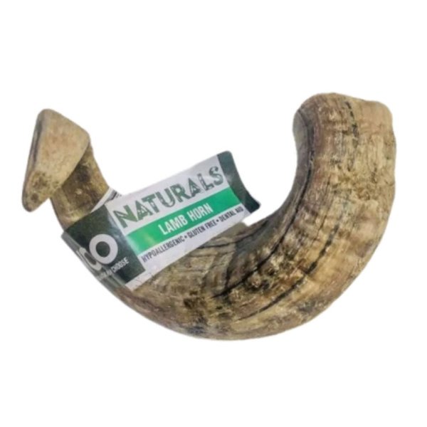 Lamb Horn
