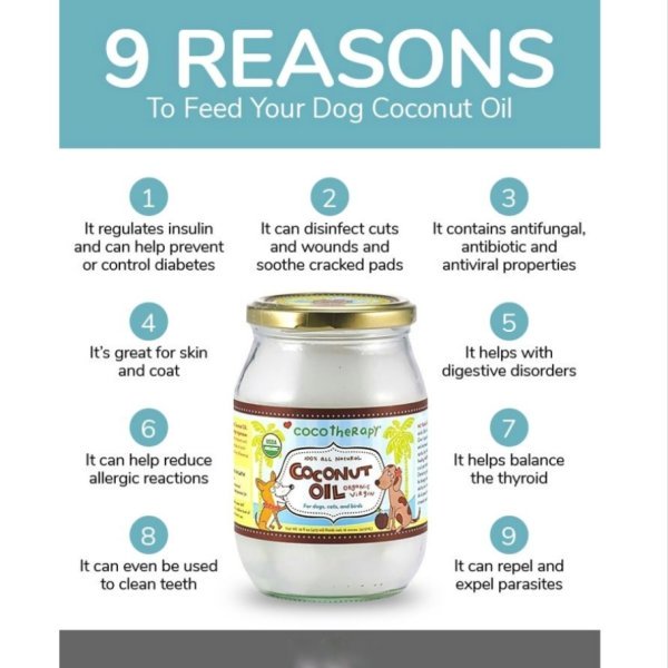 Extra Virgin Coconut Oil 500ml