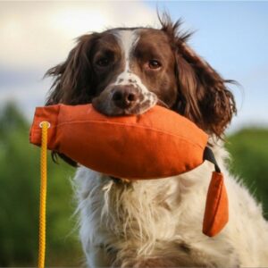 Canvas Bird Gundog Dummy