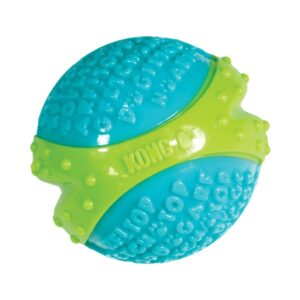 Kong Core Strength Ball