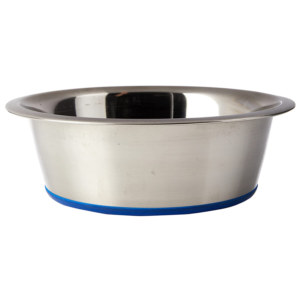 Stainless Steel Dog Bowl Blue Base
