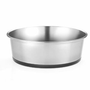 Stainless Steel Dog Bowl Black Base