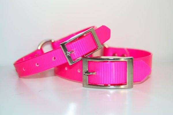 Dayglo Collar - Pink