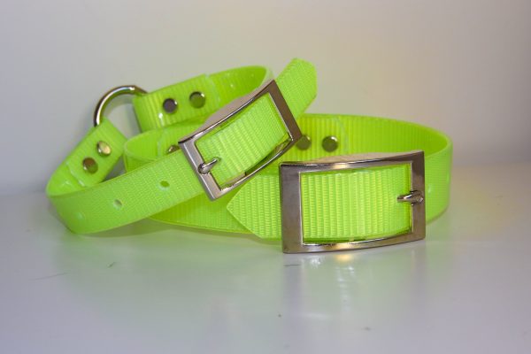 Dayglo Collar - Yellow