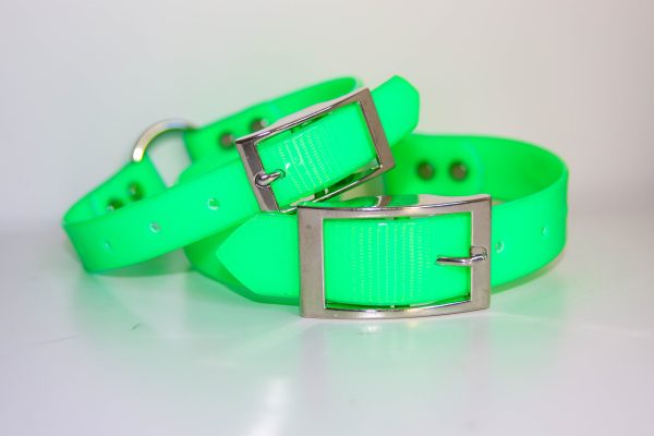 Dayglo Collar - Green
