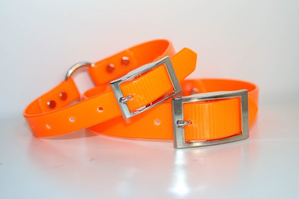 Dayglo Collar - Orange