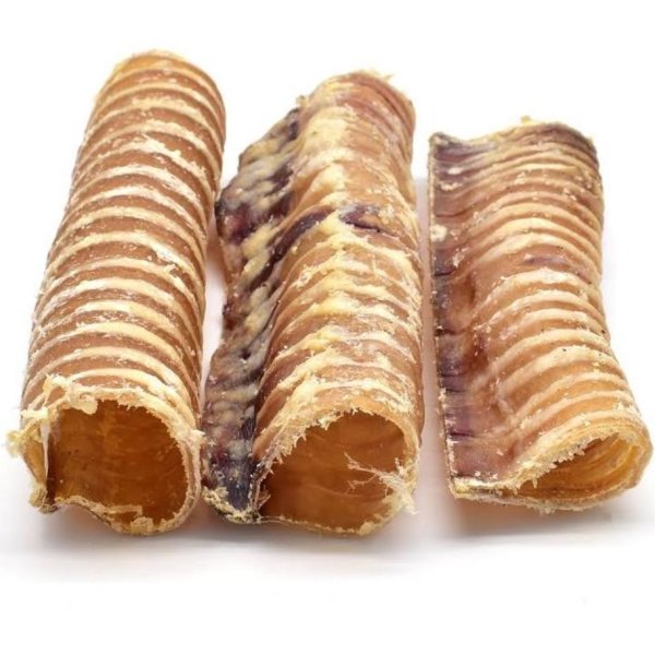 Large Tracheas