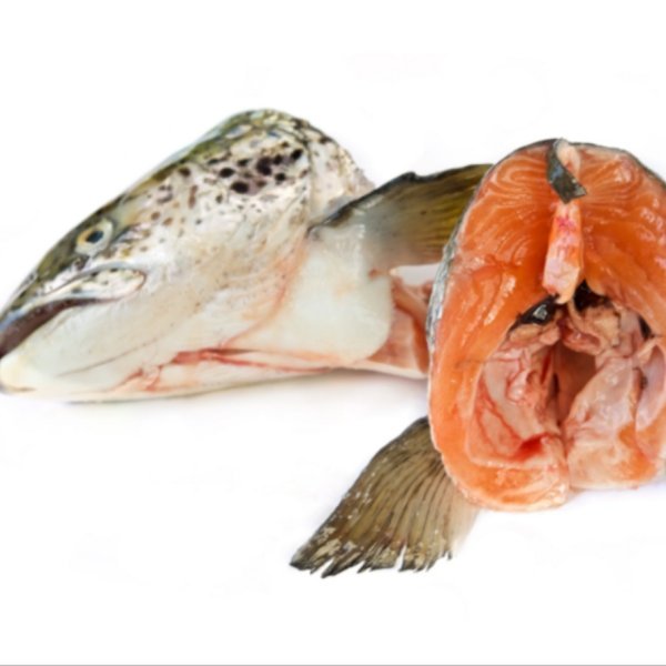 Birmingham Raw - Salmon Heads