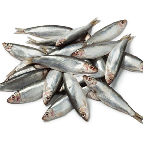 Premium Raw - Sprats 1kg