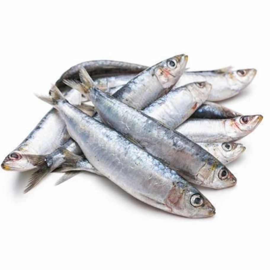 Premium Raw - Sardines 1kg
