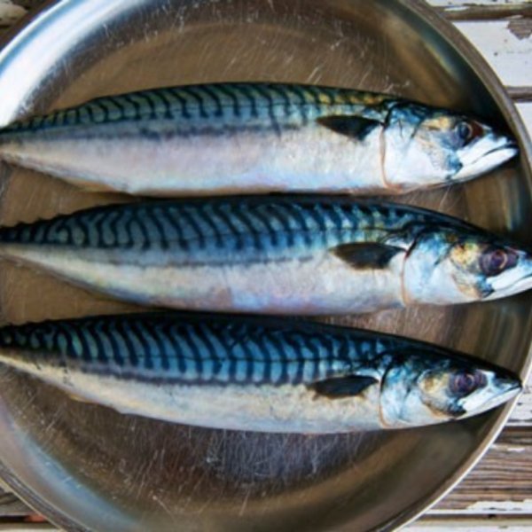 Premium Raw - Mackerel 1kg