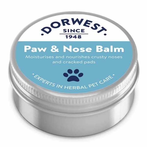 Dorwest Herbs - Paw and Nose Balm