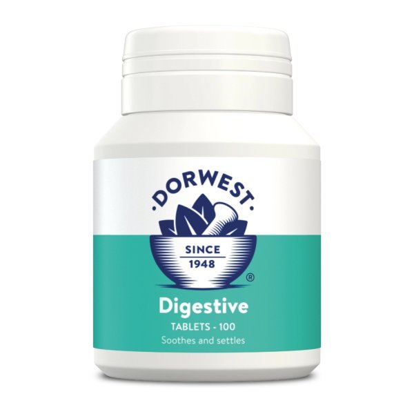 Dorwest Herbs - Digestive 100 Tabs