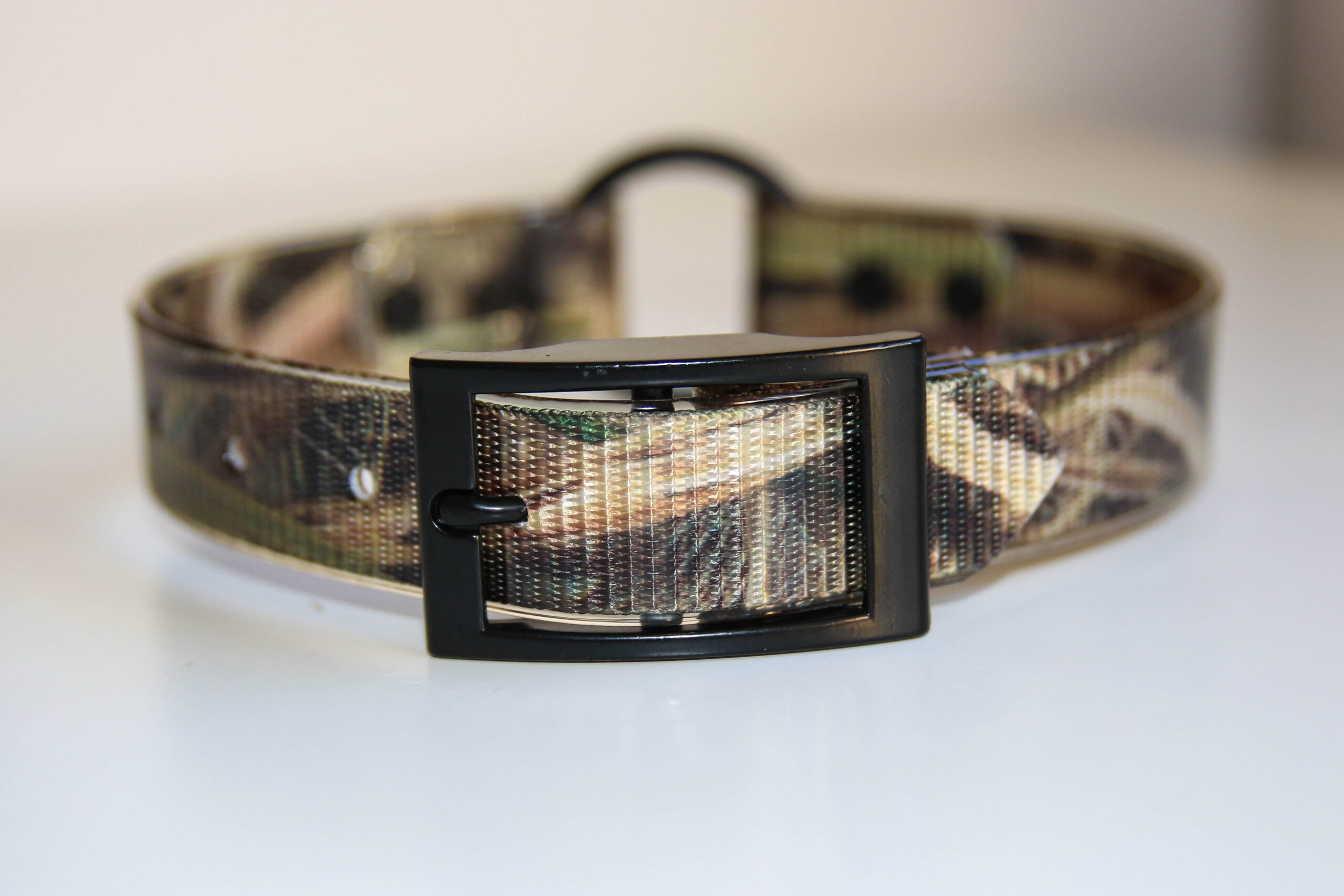 Dayglo Collar - Wetland Camo