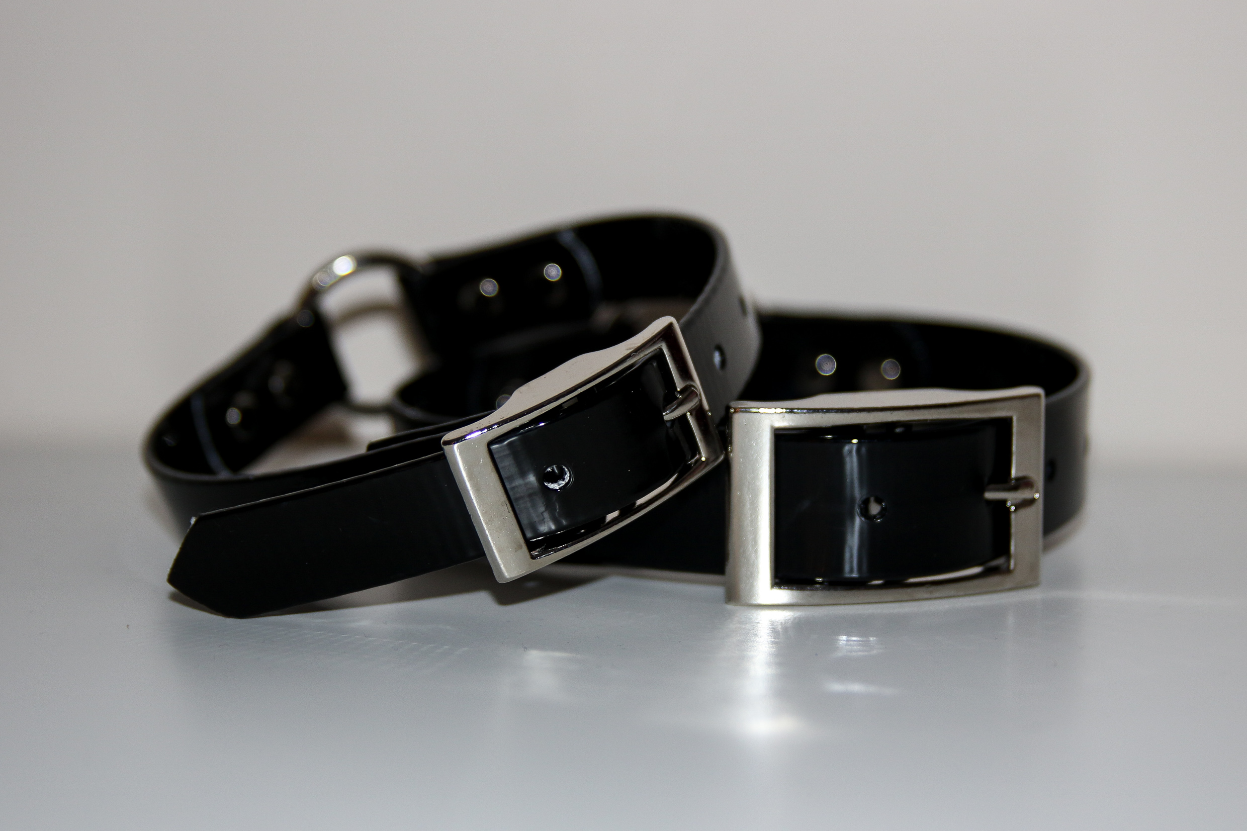 Dayglo Collar - Black