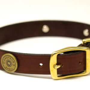 Gundog Collar
