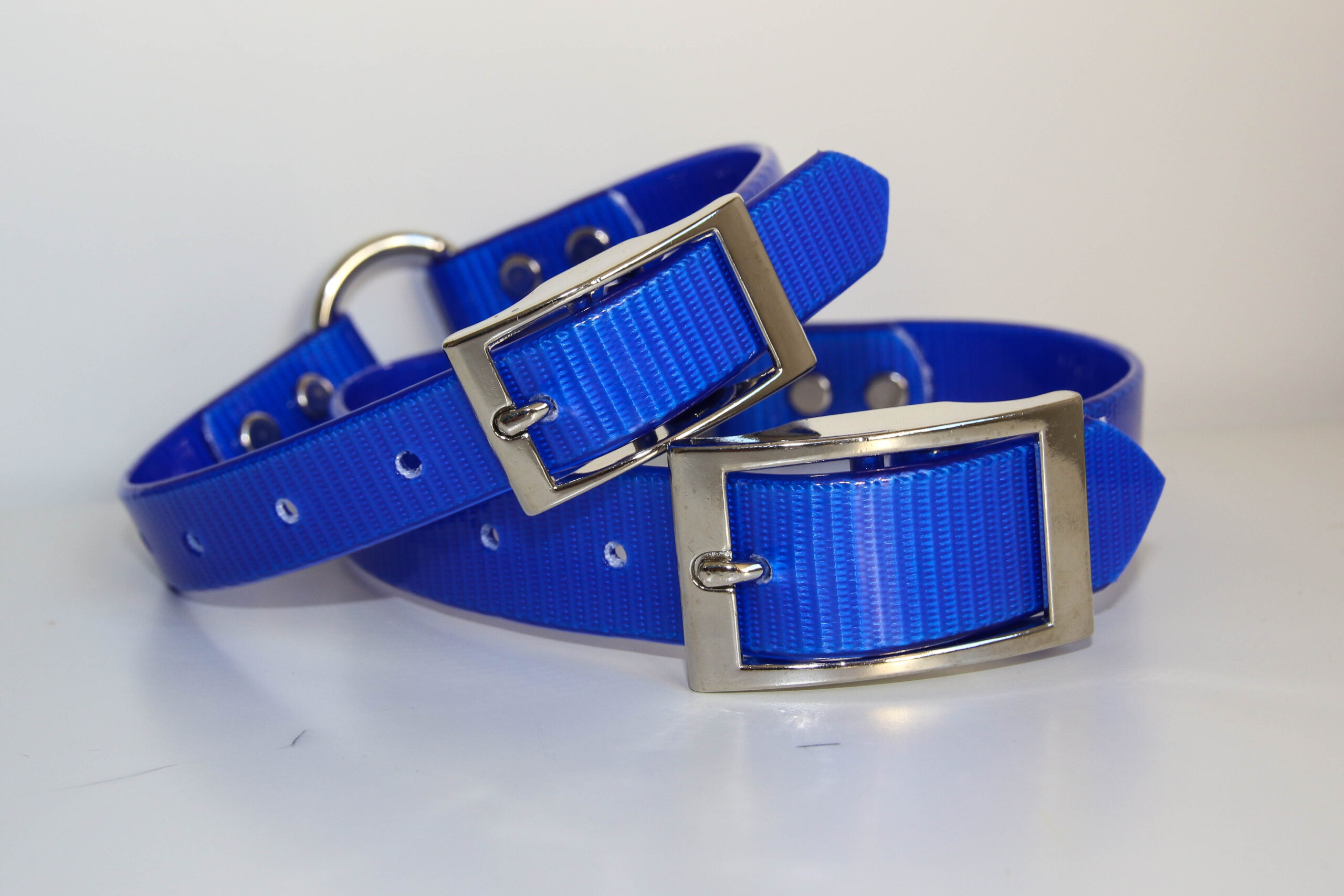 Dayglo Collar - Blue