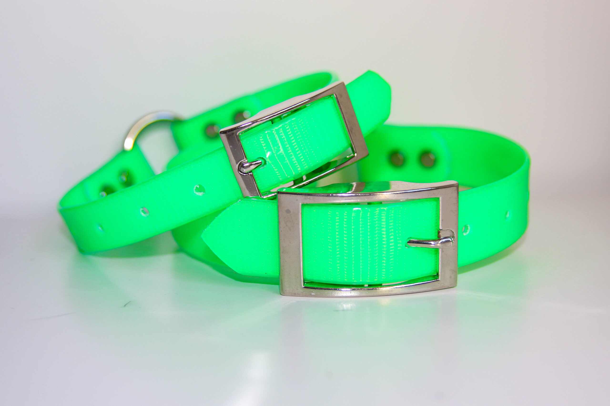 Dayglo Collar - Green