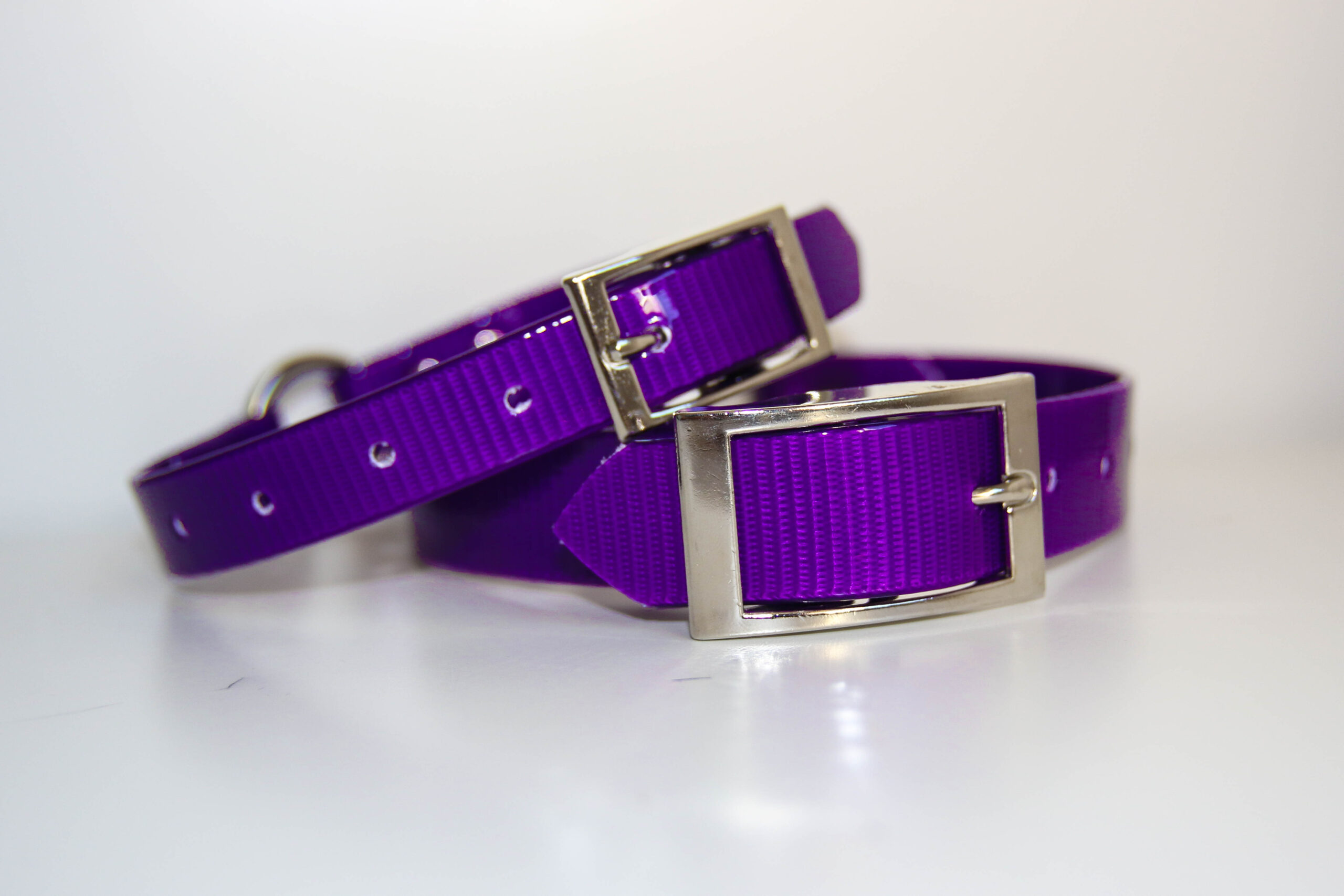 Dayglo Collar - Purple