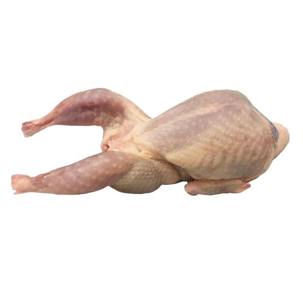 Premium Raw - Whole Quails