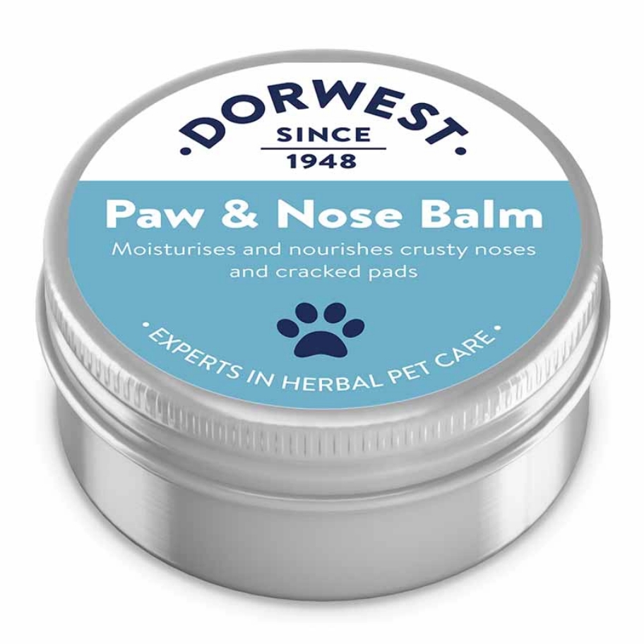 Dorwest Herbs - Paw and Nose Balm