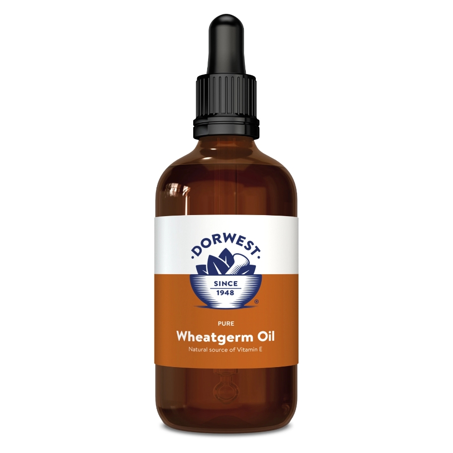 Dorwest Herbs - Wheatgerm Oil 100ml