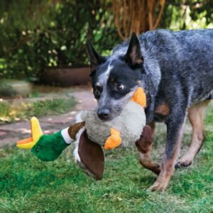 Kong Shakers Honking Duck