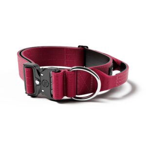 BullyBillows Combat Collar - Burgundy