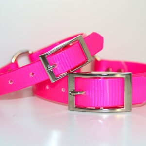 Dayglo Collar - Pink
