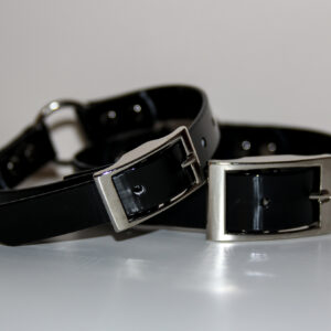 Dayglo Collar - Black
