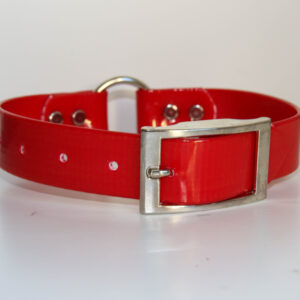 Dayglo Collar - Red
