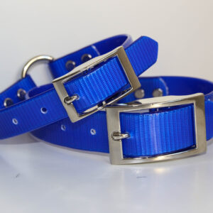 Dayglo Collar - Blue