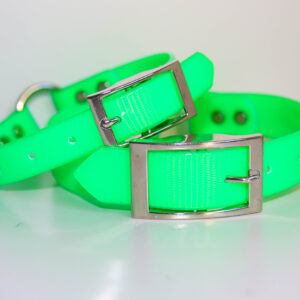 Dayglo Collar - Green
