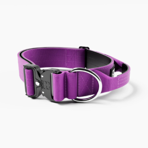 BullyBillows Combat Collar - Purple