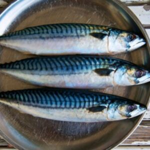 Premium Raw - Mackerel 1kg