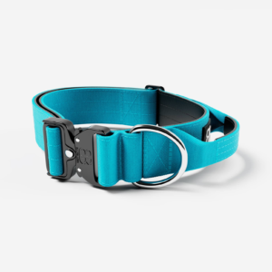 BullyBillows Combat Collar - Teal
