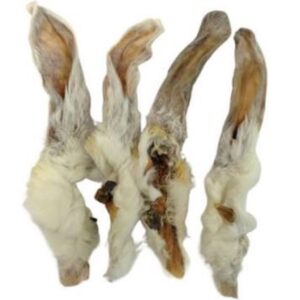 Hairy Rabbit Ears