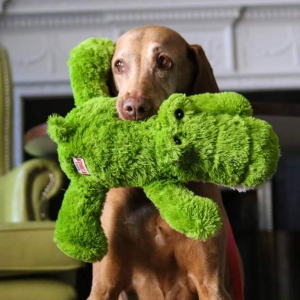 Kong Cozie Alligator