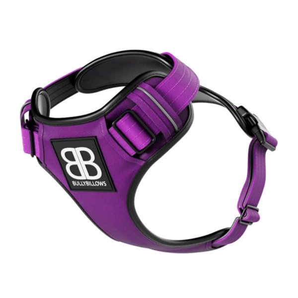 BB Comfort Harness - Purple