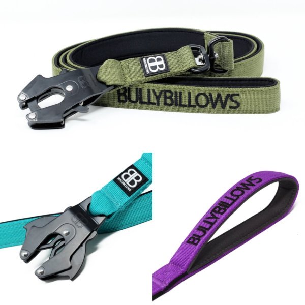 BullyBillows Swivel Combat Lead