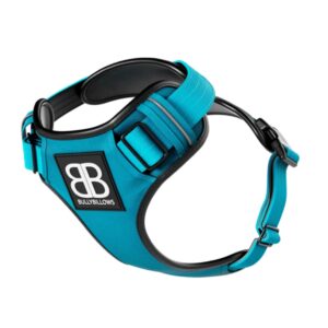 BB Comfort Harness - Teal