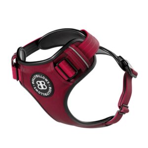 BB Comfort Harness - Burgundy