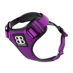 BB Comfort Harness - Purple
