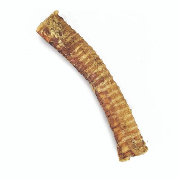 Lamb Trachea