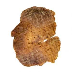 Pork Stomach