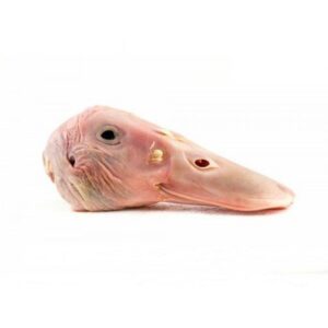 Premium Raw - Duck Heads 1kg