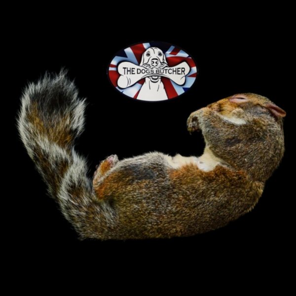 TDB - Whole Squirrel